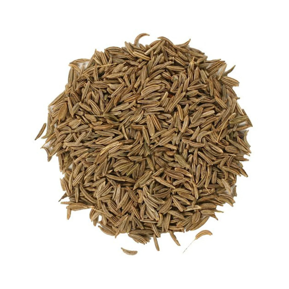 BULK Caraway Whole Seed