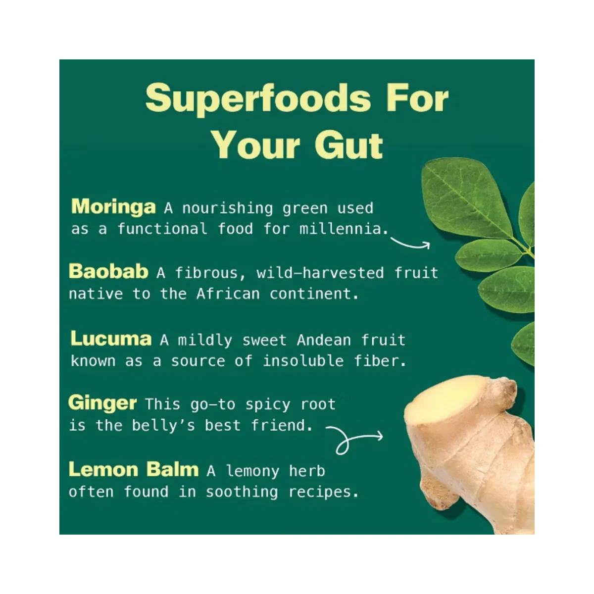 Kuli Kuli Organic Gut Bliss Superfood Blend Dietary Supplement Powder 6oz - Image 3
