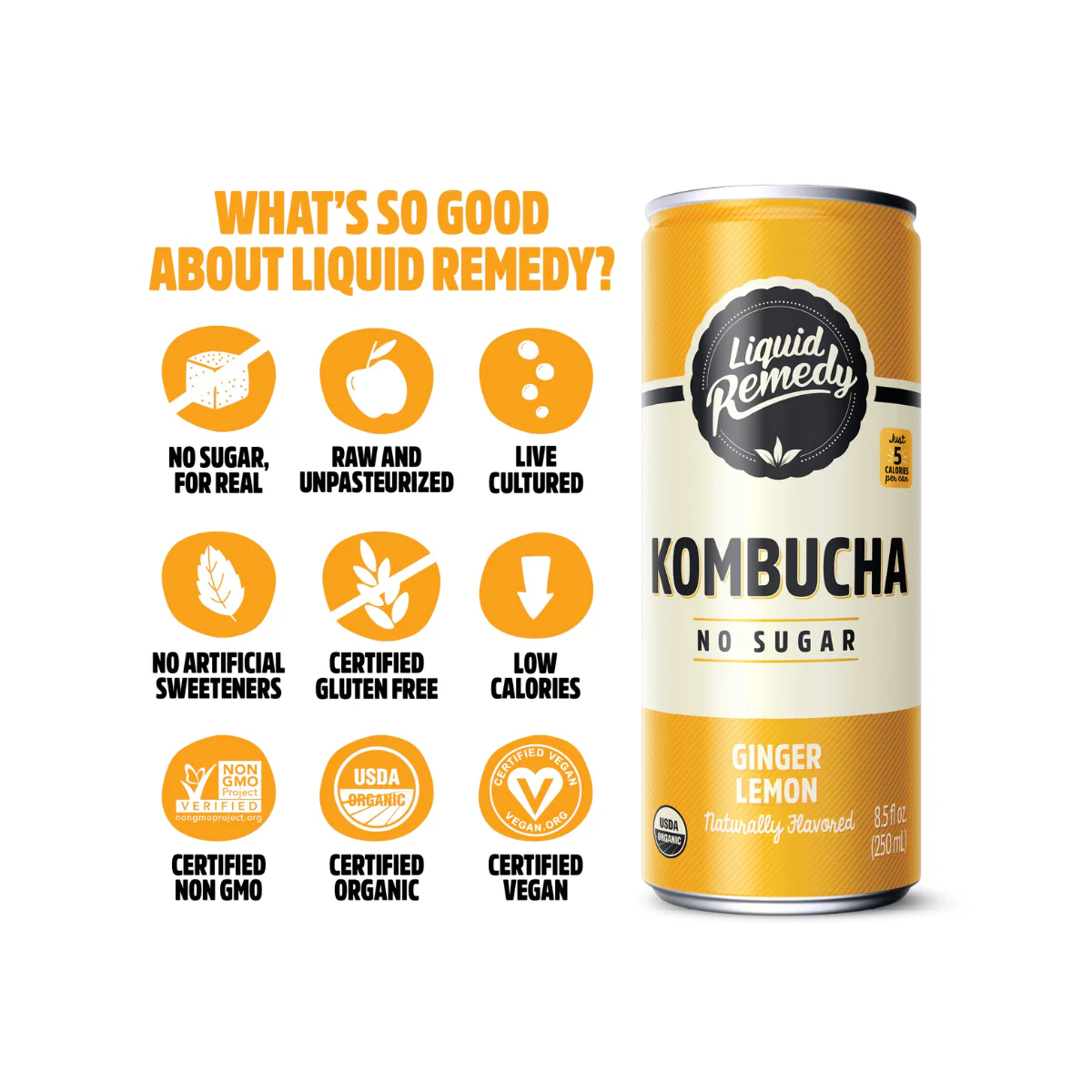 Remedy Kombucha Organic Ginger Lemon 4c - Image 3